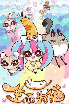 网站优化快速排名的软件